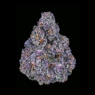 EXOTIC - BLACK RUNTZ