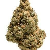OCTONE OG (PREMIUM)