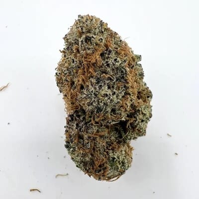Mimosa Cherry Belts-(Topshelf)