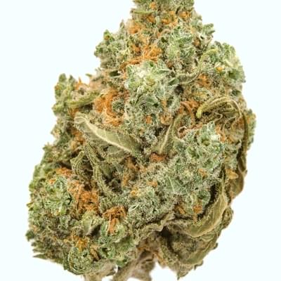 Allien cookie (top shelf)