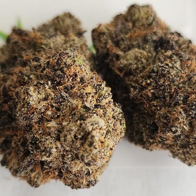 Cherry Dip - A+ Exotic