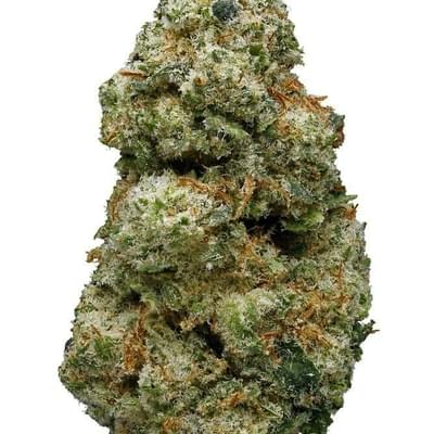 Larry OG ( Top shelf )
