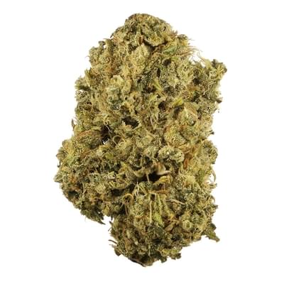Indoor Durban Poison