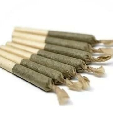 Exotic house Prerolls