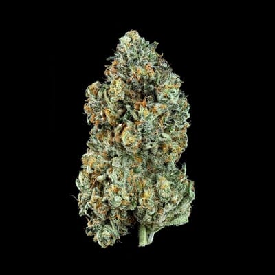 Chrome Heart Candy-(Topshelf)
