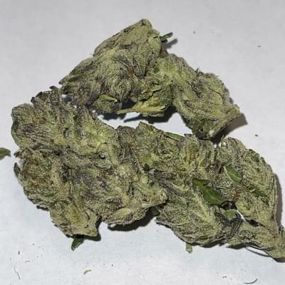 WHITE WIDOW