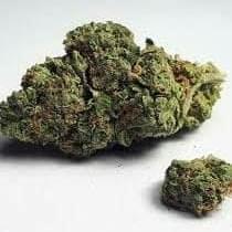 Blueberry