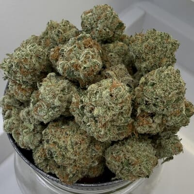 Papaya Muffins | Gotti