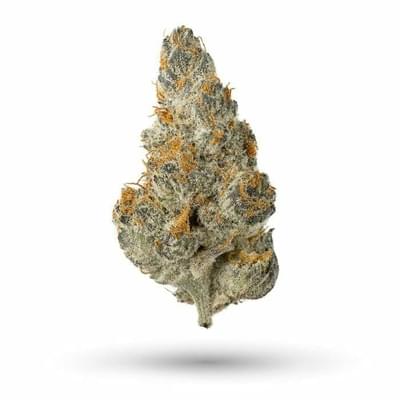 Ice Pop (EXOTIC A+)