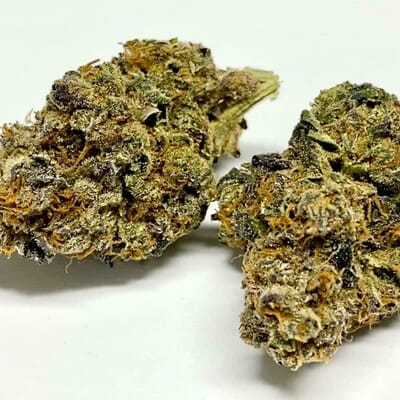 Acapulco Gold