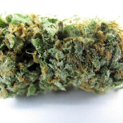 B3 Medical