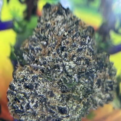 EXOTIC- BLUEBERRY SPACE CAKE