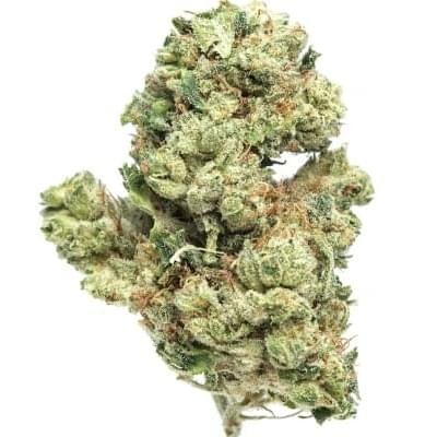 DOUBLE LEMON CHEESECAKE (EXOTIC/SATIVA)