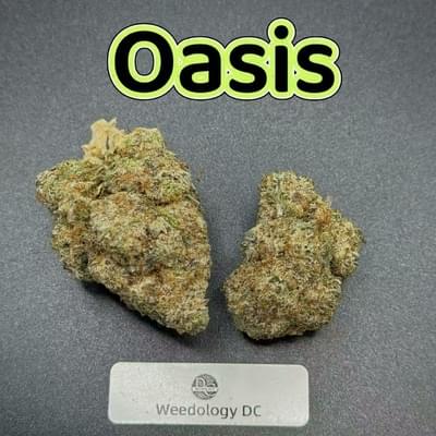 Oasis---Top Shelf