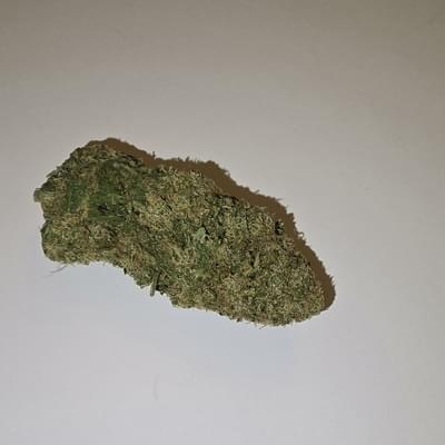 Dutch Treat (PREMIUM)