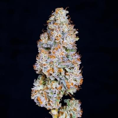 Alien Labs | Biskante premium indoor flower 3.5g | 26% THC