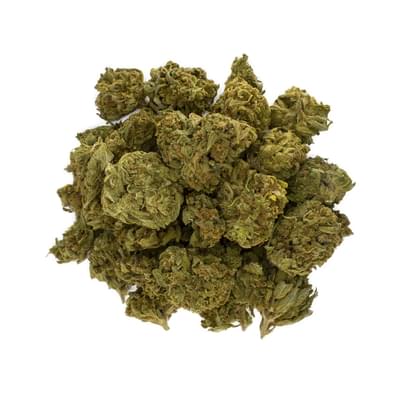 Aster Farms - Blood Orange -