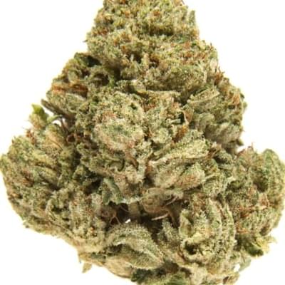 Skywalker OG (exotic)