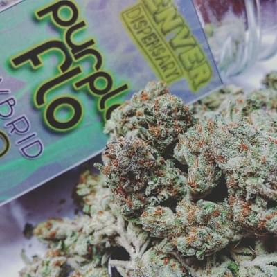Purple Flo
