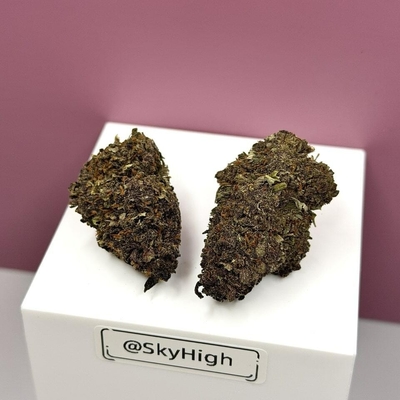 Double Black-Premium