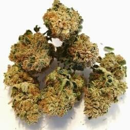 Remedy