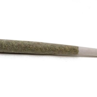 SPECIAL: 1/2 gram *ALL-FLOWER* preroll (while supplies last)