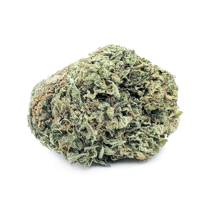 Zkittlez – Uplifting & Tropical