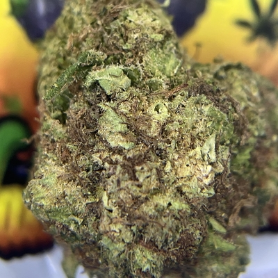 PREMIUM- LEMON SKUNK