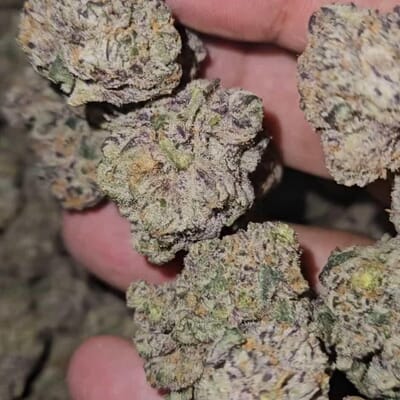 LA Chocolat (Chocolate chunk)