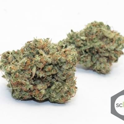 Grinch OG