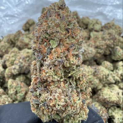 Tropical Cookies (Hybrid)