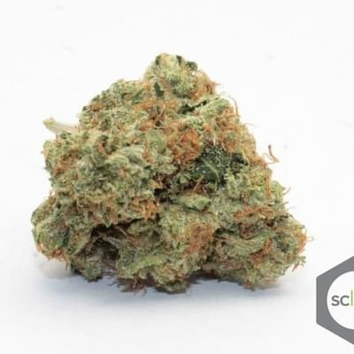 OG Kush
