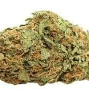 Durban Poison