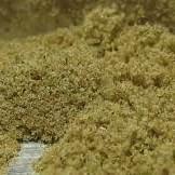 Kief