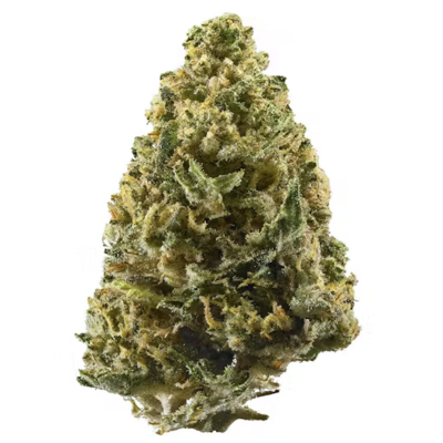 Northern Lights