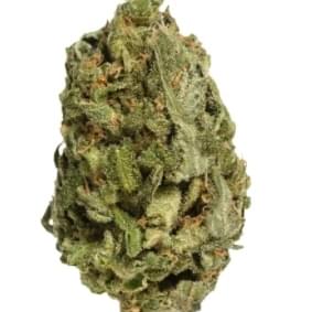 Bake Sale - All Purpose Flower Sativa 1x28g >S