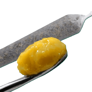 BARBARA BUD LIVE ROSIN INFUSED PR | GREAT GARDENER FARMS | 1x 1g
