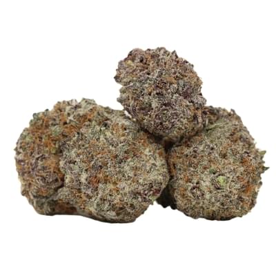 Blizzard (Top Shelf)