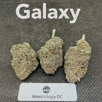 Galaxy---Exotics