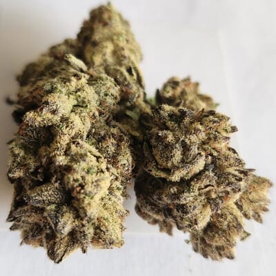 Peanut Butter Mint - Exotic SMALLS