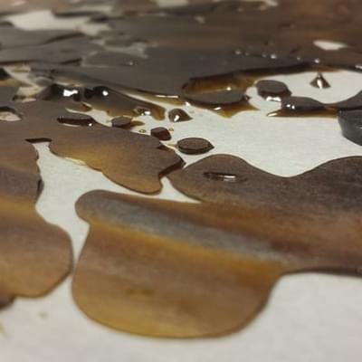 Pull-snap - Girl Scout Cookies