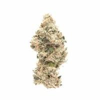 OG Medhead Small Buds