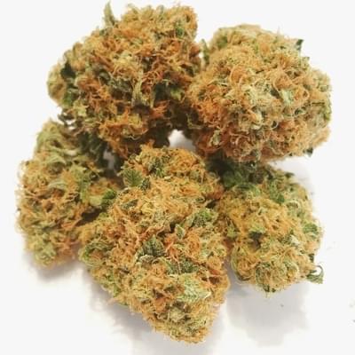 Purple Alien Dawg