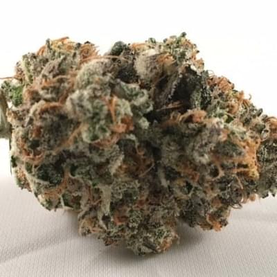 MendoBreath