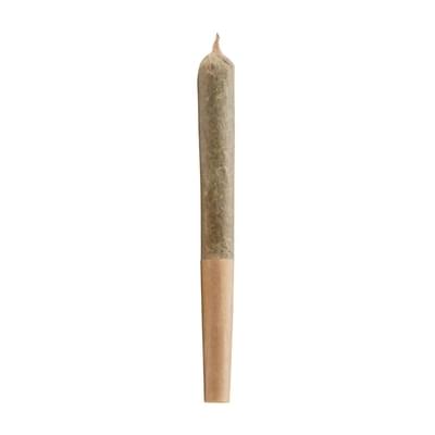 BIG WILLIE LIVE RESIN PR | CONTRABAND | 1 x 1g