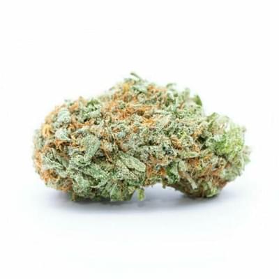 FORBIDDEN FRUIT - 5 GRAMS