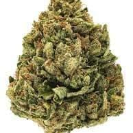 LEMON KEY PIE (EXOTIC)