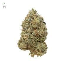 G13