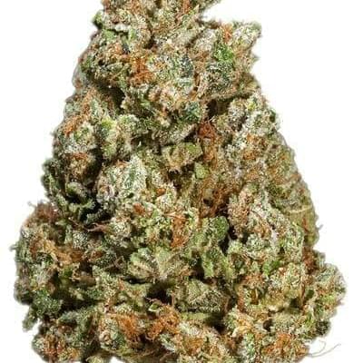 Berry White (TOP SHELF)