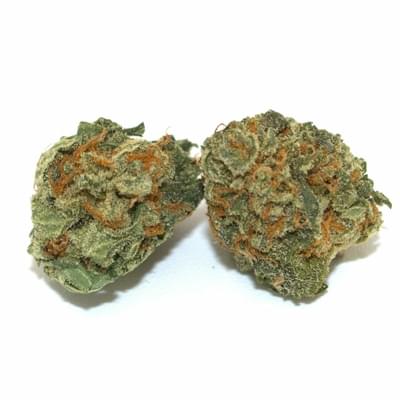 Brain Freeze (EXOTIC)